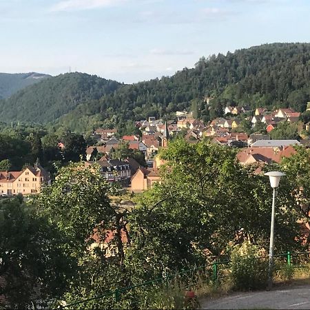 Chez Jose Apartamento Rothau Exterior foto